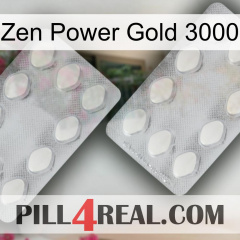 Zen Power Gold 3000 17